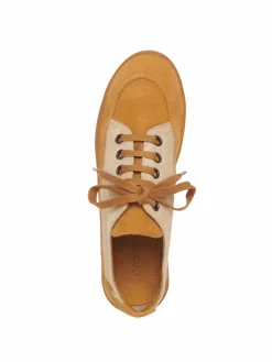 Collection Hiver^Arche Sneakers Vaname