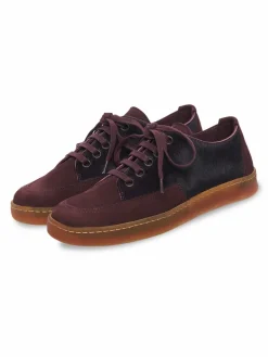 Collection Hiver^Arche Sneakers Vaname
