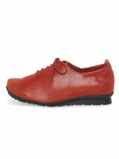 Collection Hiver^Arche Trotteurs Baryza